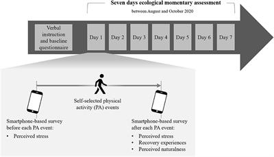 The Natural Environment of Physical Activity and Perceived Stress: The Mediating Role of Specific Recovery Experiences